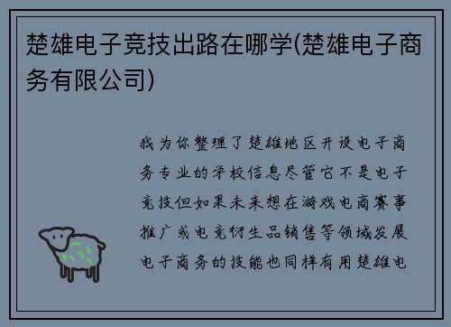 楚雄电子竞技出路在哪学(楚雄电子商务有限公司)